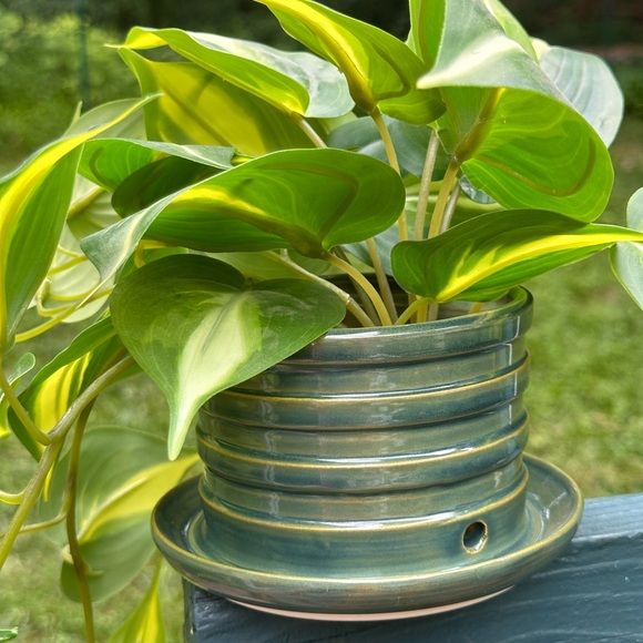 Wheel-thrown small planter pot w/ catch basin - glossy teal - Picture 1 of 8